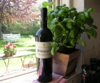 2011 Primitivo Puglia IgP, Villa Schinosa