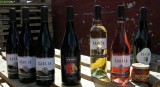 Solis Chardonnay Frizzante