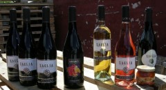 Solis Chardonnay Frizzante